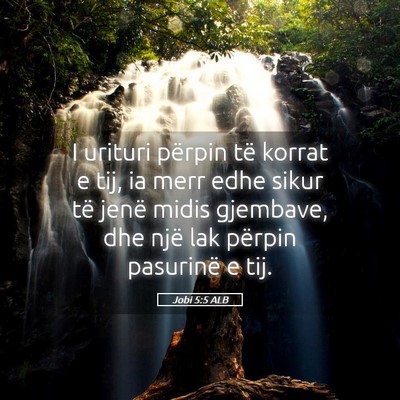 Picture 05 - Jobi 5:5 ALB - I urituri përpin të korrat e tij, ia merr edhe - Bible Verse Picture