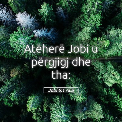 Picture 05 - Jobi 6:1 ALB - Atëherë Jobi u përgjigj dhe - Bible Verse Picture