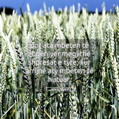 Picture 05 - Jobi 6:20 ALB - por ata mbeten të zhgënjyer megjithë shpresat - Bible Verse Picture