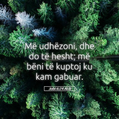 Picture 05 - Jobi 6:24 ALB - Më udhëzoni, dhe do të hesht; më bëni të - Bible Verse Picture
