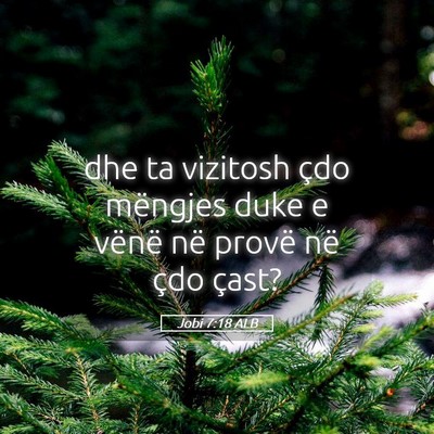 Picture 05 - Jobi 7:18 ALB - dhe ta vizitosh çdo mëngjes duke e vënë në - Bible Verse Picture