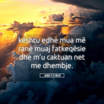 Picture 05 - Jobi 7:3 ALB - kështu edhe mua më ranë muaj fatkeqësie dhe - Bible Verse Picture