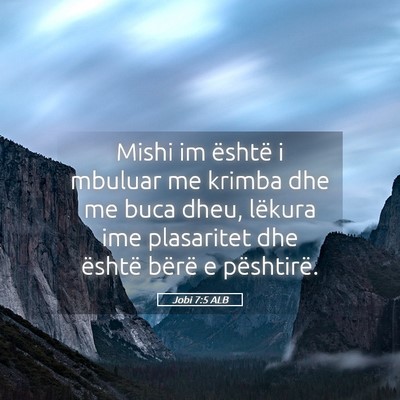 Picture 05 - Jobi 7:5 ALB - Mishi im është i mbuluar me krimba dhe me buca - Bible Verse Picture