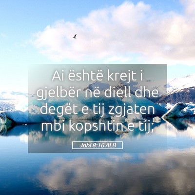 Picture 05 - Jobi 8:16 ALB - Ai është krejt i gjelbër në diell dhe degët - Bible Verse Picture