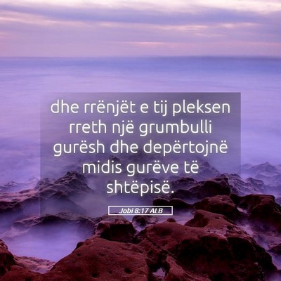 Picture 05 - Jobi 8:17 ALB - dhe rrënjët e tij pleksen rreth një grumbulli - Bible Verse Picture