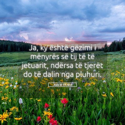 Picture 05 - Jobi 8:19 ALB - Ja, ky është gëzimi i mënyrës së tij të - Bible Verse Picture