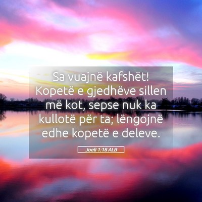 Picture 05 - Joeli 1:18 ALB - Sa vuajnë kafshët! Kopetë e gjedhëve sillen - Bible Verse Picture