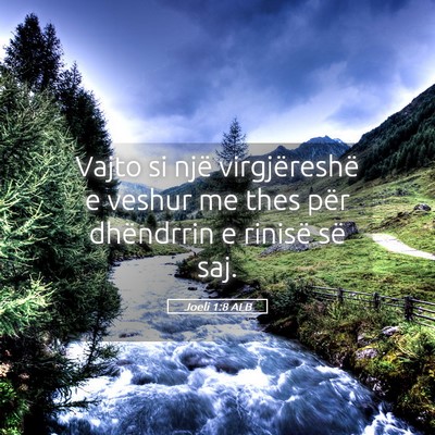 Picture 05 - Joeli 1:8 ALB - Vajto si një virgjëreshë e veshur me thes për - Bible Verse Picture
