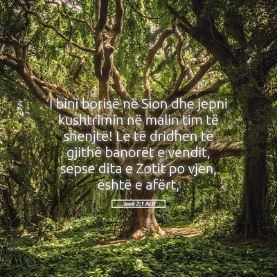 Picture 05 - Joeli 2:1 ALB - I bini borisë në Sion dhe jepni kushtrimin në - Bible Verse Picture