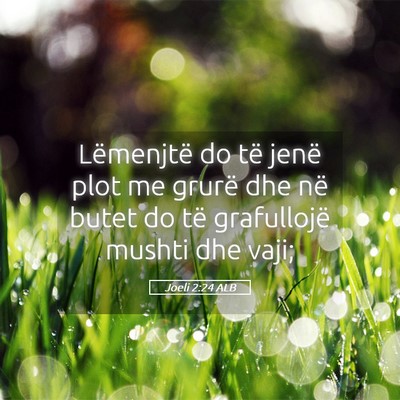 Picture 05 - Joeli 2:24 ALB - Lëmenjtë do të jenë plot me grurë dhe në - Bible Verse Picture