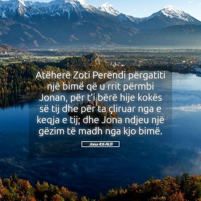 Picture 05 - Jona 4:6 ALB - Atëherë Zoti Perëndi përgatiti një bimë që - Bible Verse Picture