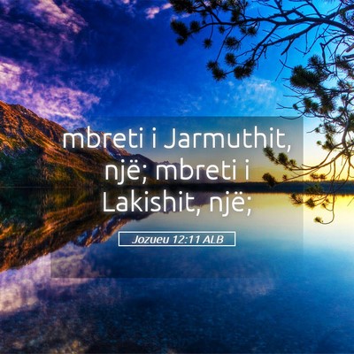 Picture 05 - Jozueu 12:11 ALB - mbreti i Jarmuthit, një; mbreti i Lakishit, - Bible Verse Picture