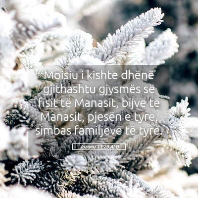 Picture 05 - Jozueu 13:29 ALB - Moisiu i kishte dhënë gjithashtu gjysmës së - Bible Verse Picture
