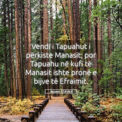 Picture 05 - Jozueu 17:8 ALB - Vendi i Tapuahut i përkiste Manasit; por Tapuahu - Bible Verse Picture