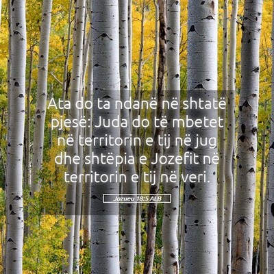 Picture 05 - Jozueu 18:5 ALB - Ata do ta ndanë në shtatë pjesë: Juda do të - Bible Verse Picture