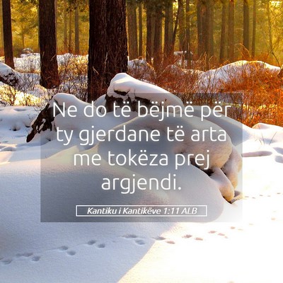 Picture 05 - Kantiku i Kantikëve 1:11 ALB - Ne do të bëjmë për ty gjerdane të arta me - Bible Verse Picture