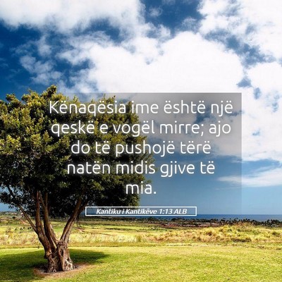 Picture 05 - Kantiku i Kantikëve 1:13 ALB - Kënaqësia ime është një qeskë e vogël - Bible Verse Picture