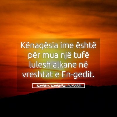 Picture 05 - Kantiku i Kantikëve 1:14 ALB - Kënaqësia ime është për mua një tufë - Bible Verse Picture