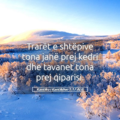 Picture 05 - Kantiku i Kantikëve 1:17 ALB - Trarët e shtëpive tona janë prej kedri dhe - Bible Verse Picture