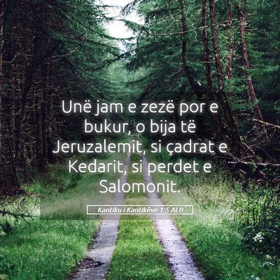 Picture 05 - Kantiku i Kantikëve 1:5 ALB - Unë jam e zezë por e bukur, o bija të - Bible Verse Picture