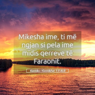 Picture 05 - Kantiku i Kantikëve 1:9 ALB - Mikesha ime, ti më ngjan si pela ime midis - Bible Verse Picture