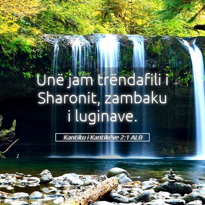 Picture 05 - Kantiku i Kantikëve 2:1 ALB - Unë jam trëndafili i Sharonit, zambaku i - Bible Verse Picture