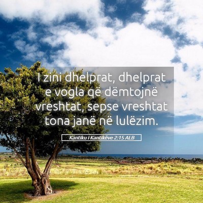 Picture 05 - Kantiku i Kantikëve 2:15 ALB - I zini dhelprat, dhelprat e vogla që dëmtojnë - Bible Verse Picture