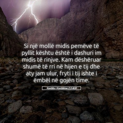 Picture 05 - Kantiku i Kantikëve 2:3 ALB - Si një mollë midis pemëve të pyllit kështu - Bible Verse Picture