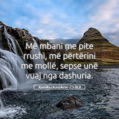 Picture 05 - Kantiku i Kantikëve 2:5 ALB - Më mbani me pite rrushi, më përtërini me - Bible Verse Picture