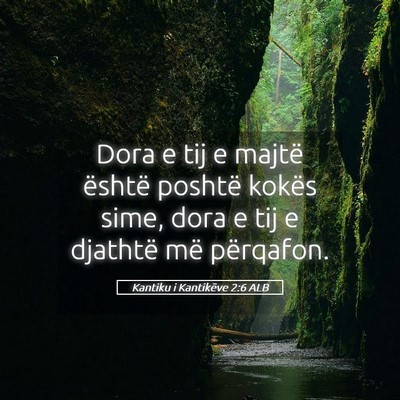 Picture 05 - Kantiku i Kantikëve 2:6 ALB - Dora e tij e majtë është poshtë kokës sime, - Bible Verse Picture