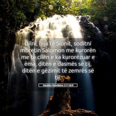Picture 05 - Kantiku i Kantikëve 3:11 ALB - Dilni, bija të Sionit, soditni mbretin Salomon - Bible Verse Picture