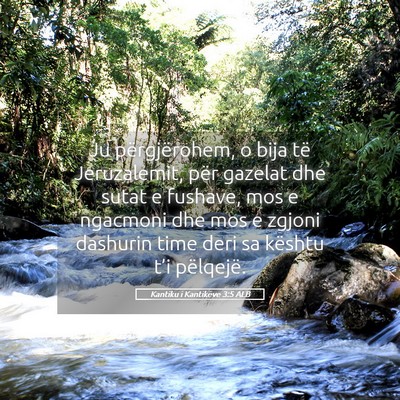 Picture 05 - Kantiku i Kantikëve 3:5 ALB - Ju përgjërohem, o bija të Jeruzalemit, për - Bible Verse Picture