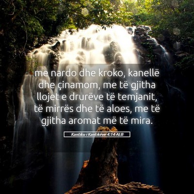 Picture 05 - Kantiku i Kantikëve 4:14 ALB - me nardo dhe kroko, kanellë dhe çinamom, me të - Bible Verse Picture