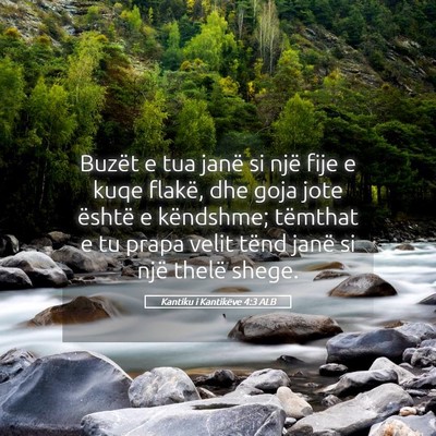 Picture 05 - Kantiku i Kantikëve 4:3 ALB - Buzët e tua janë si një fije e kuqe flakë, - Bible Verse Picture