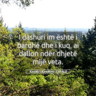 Picture 05 - Kantiku i Kantikëve 5:10 ALB - I dashuri im është i bardhë dhe i kuq, ai - Bible Verse Picture
