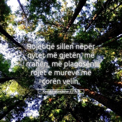 Picture 05 - Kantiku i Kantikëve 5:7 ALB - Rojet që sillen nëpër qytet më gjetën, më - Bible Verse Picture
