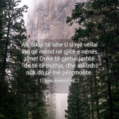 Picture 05 - Kantiku i Kantikëve 8:1 ALB - Ah, sikur të ishe ti si një vëllai im, që - Bible Verse Picture