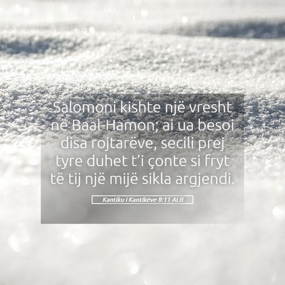 Picture 05 - Kantiku i Kantikëve 8:11 ALB - Salomoni kishte një vresht në Baal-Hamon; ai ua - Bible Verse Picture