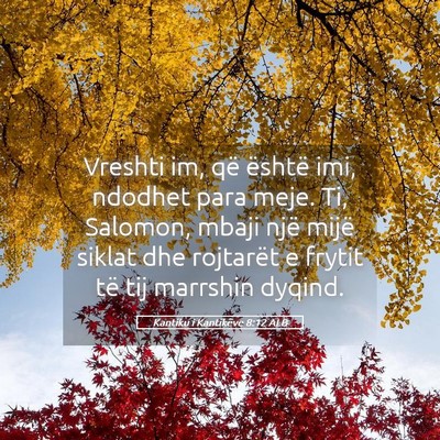 Picture 05 - Kantiku i Kantikëve 8:12 ALB - Vreshti im, që është imi, ndodhet para meje. - Bible Verse Picture