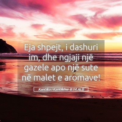 Picture 05 - Kantiku i Kantikëve 8:14 ALB - Eja shpejt, i dashuri im, dhe ngjaji një gazele - Bible Verse Picture