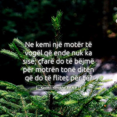 Picture 05 - Kantiku i Kantikëve 8:8 ALB - Ne kemi një motër të vogël që ende nuk ka - Bible Verse Picture
