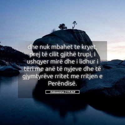 Picture 05 - Kolosianëve 2:19 ALB - dhe nuk mbahet te kryet, prej të cilit gjithë - Bible Verse Picture