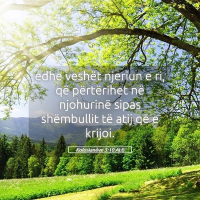 Picture 05 - Kolosianëve 3:10 ALB - edhe veshët njeriun e ri, që përtërihet në - Bible Verse Picture