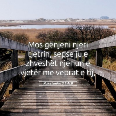 Picture 05 - Kolosianëve 3:9 ALB - Mos gënjeni njeri tjetrin, sepse ju e zhveshët - Bible Verse Picture