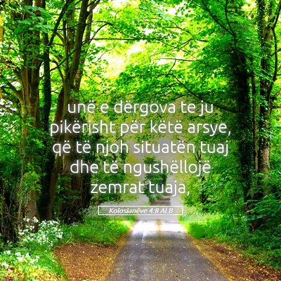 Picture 05 - Kolosianëve 4:8 ALB - unë e dërgova te ju pikërisht për këtë - Bible Verse Picture