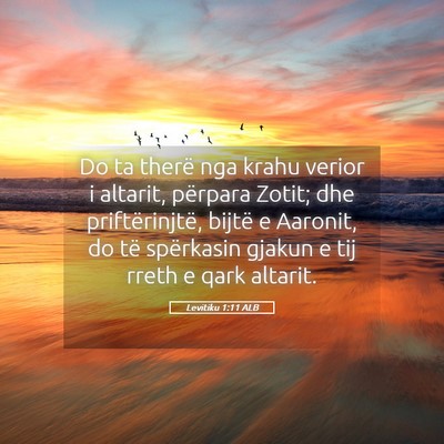 Picture 05 - Levitiku 1:11 ALB - Do ta therë nga krahu verior i altarit, përpara - Bible Verse Picture