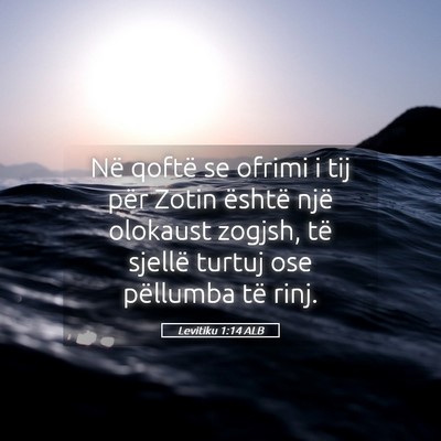 Picture 05 - Levitiku 1:14 ALB - Në qoftë se ofrimi i tij për Zotin është - Bible Verse Picture