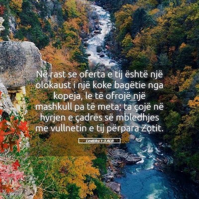 Picture 05 - Levitiku 1:3 ALB - Në rast se oferta e tij është një olokaust i - Bible Verse Picture