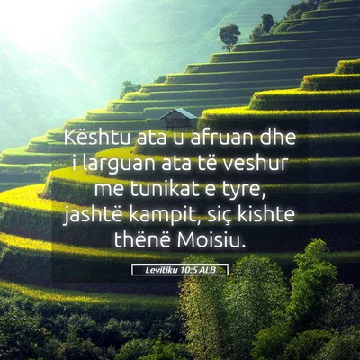 Picture 05 - Levitiku 10:5 ALB - Kështu ata u afruan dhe i larguan ata të veshur - Bible Verse Picture