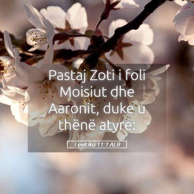 Picture 05 - Levitiku 11:1 ALB - Pastaj Zoti i foli Moisiut dhe Aaronit, duke u - Bible Verse Picture